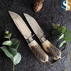 Ebusija 60 ± 2 Damasku Antlers jimmaniġġjaw